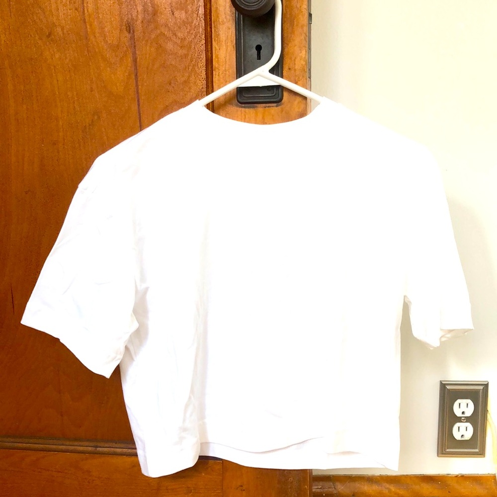 Everlane organic cotton cropped tee.